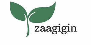 Introducing the Coach House Books Non-fiction Indigenous Advisory Board: zaagigin